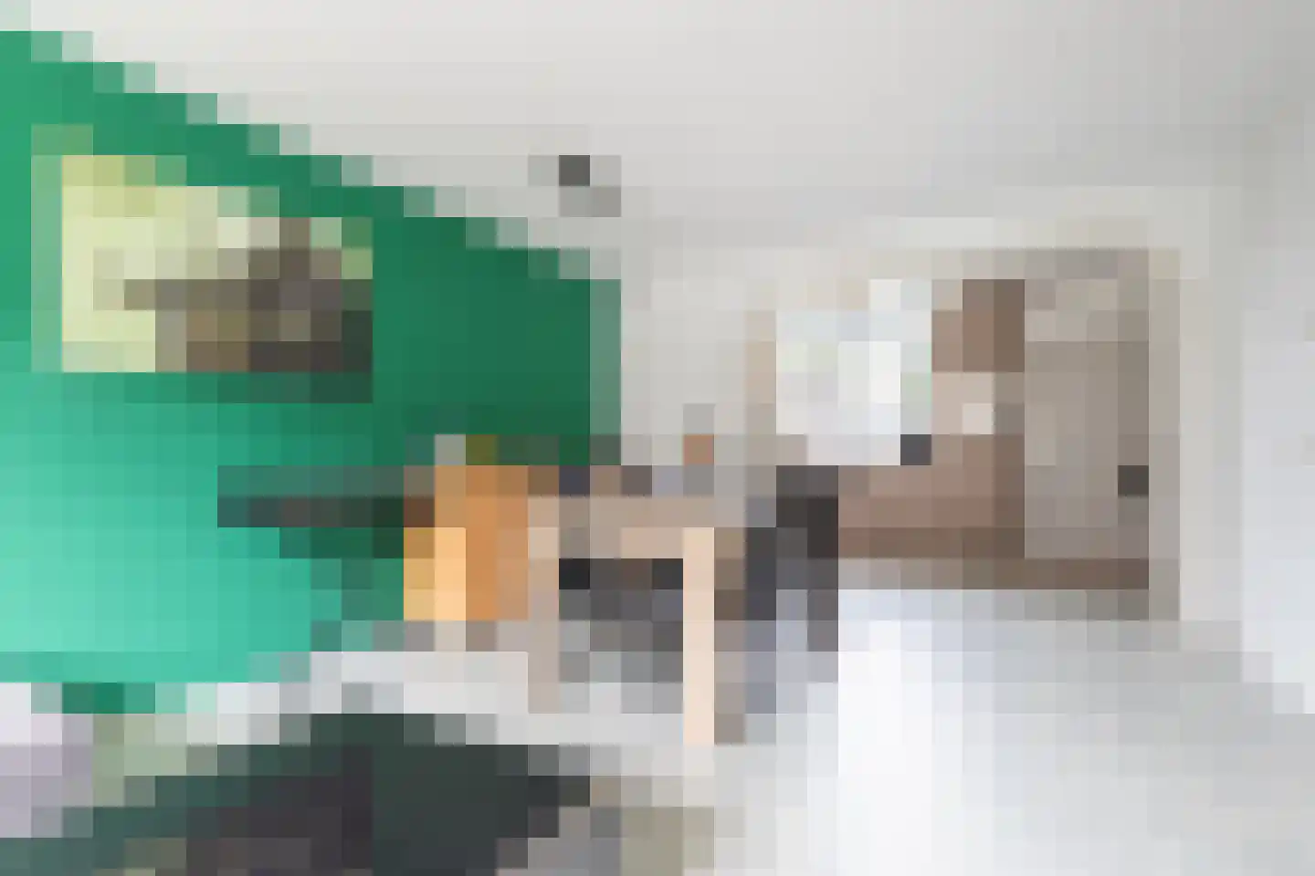 Rietlanden 85 Leimuiden thumbnail 9
