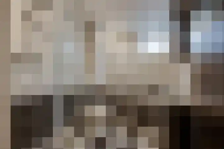 Rietlanden 99 Leimuiden thumbnail 18