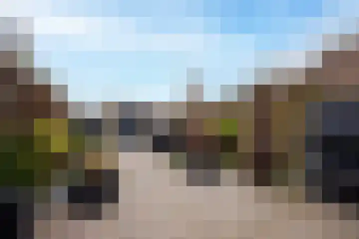 Rietlanden 99 Leimuiden thumbnail 25