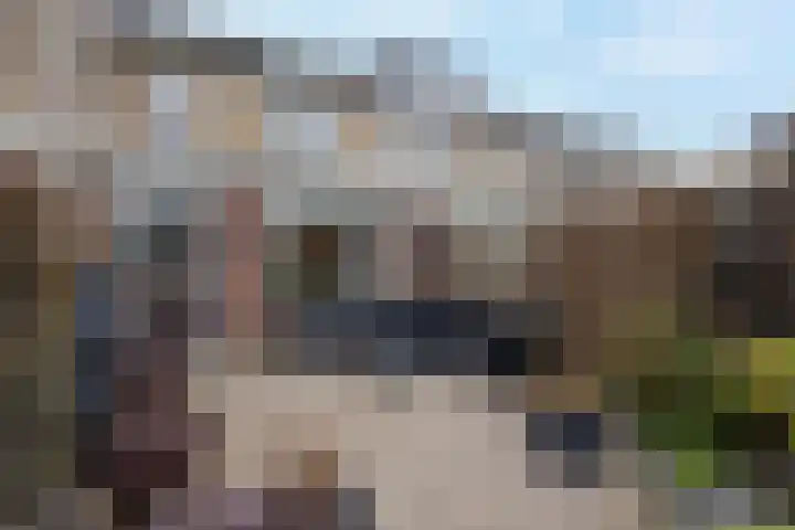 Rietlanden 99 Leimuiden thumbnail 26