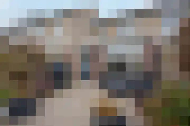 Rietlanden 99 Leimuiden thumbnail 27