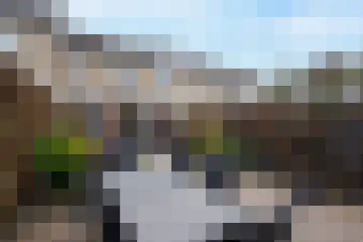 Rietlanden 99 Leimuiden thumbnail 32