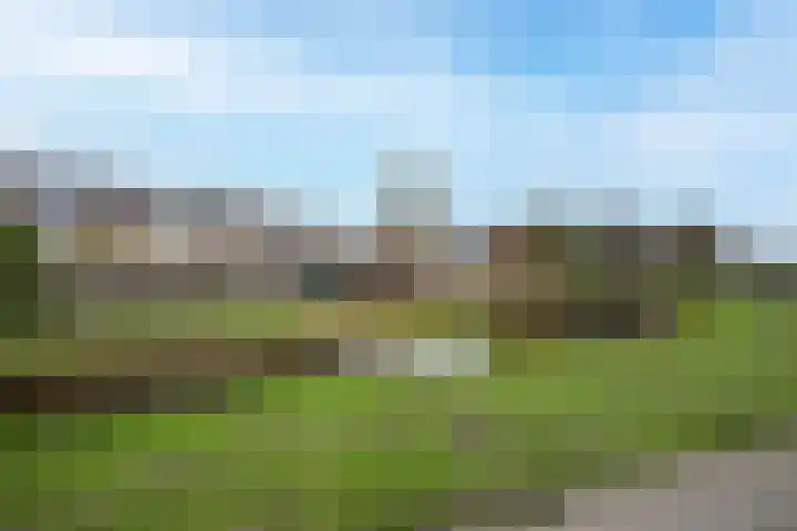 Rietlanden 99 Leimuiden thumbnail 38