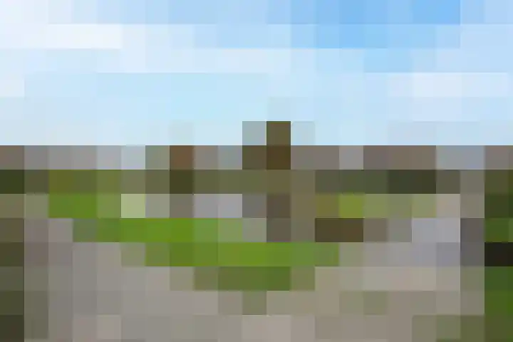 Rietlanden 99 Leimuiden thumbnail 39