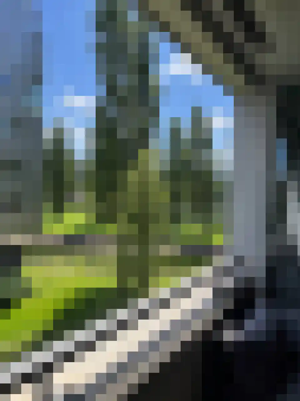 Rietlandpark 139 Amsterdam thumbnail 12