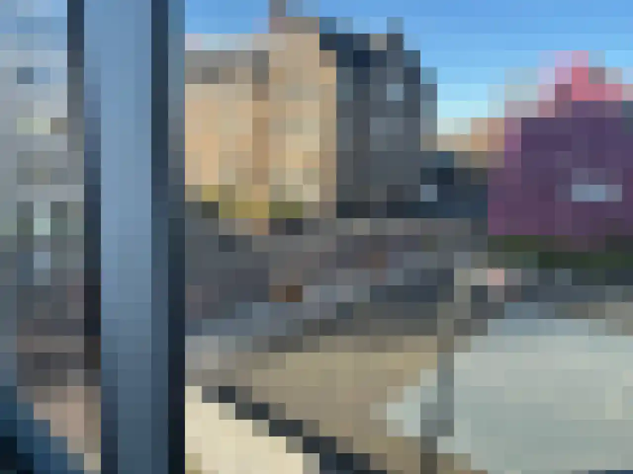 Rietlandpark 139 Amsterdam thumbnail 9