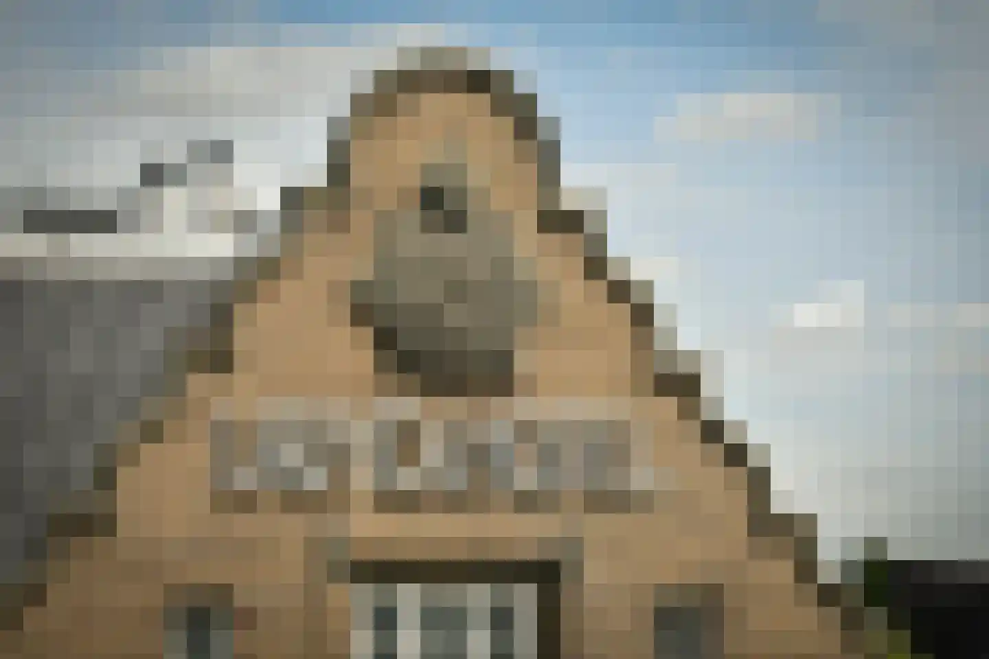 Rietlandpark 239 Amsterdam thumbnail 10