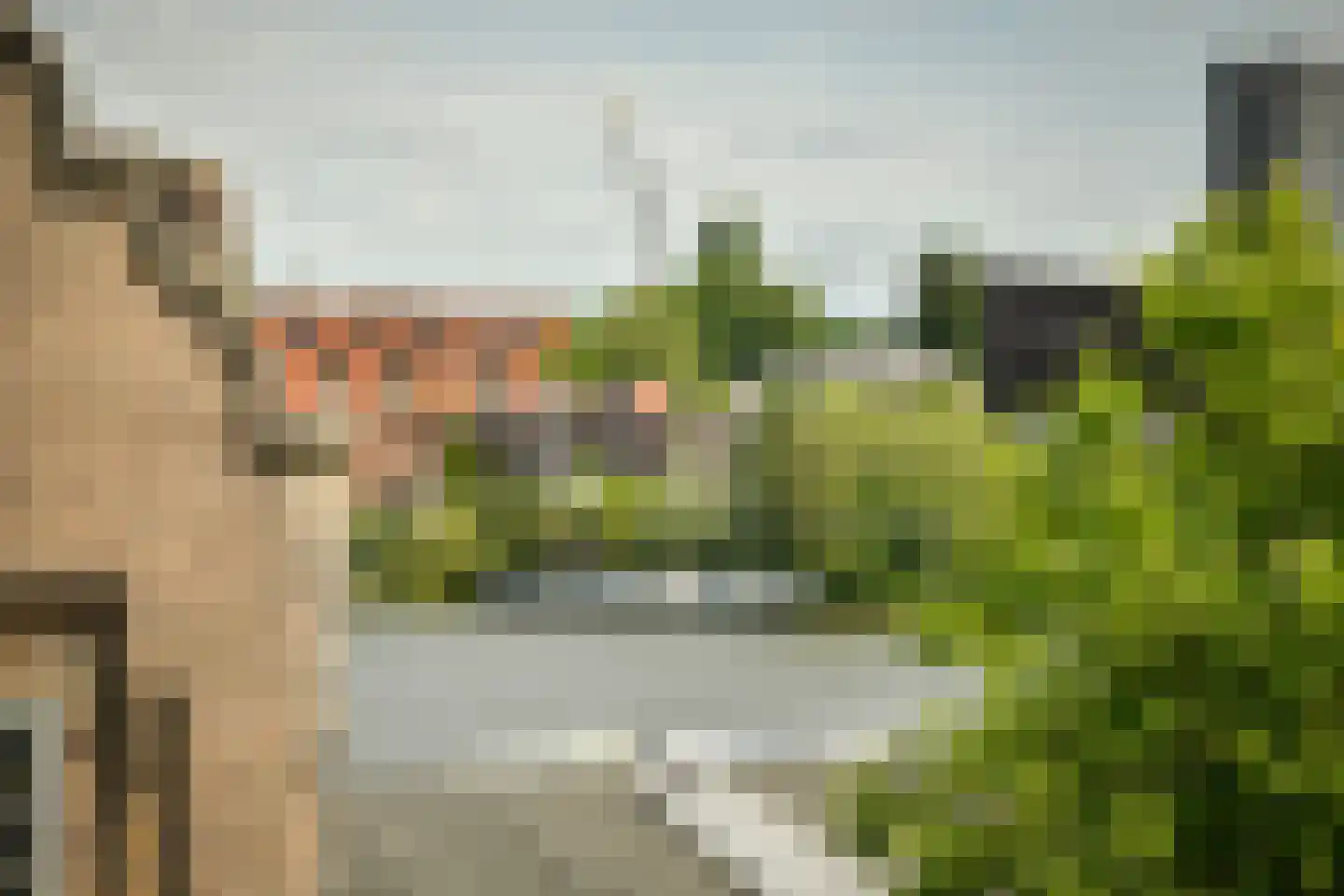 Rietlandpark 239 Amsterdam thumbnail 12
