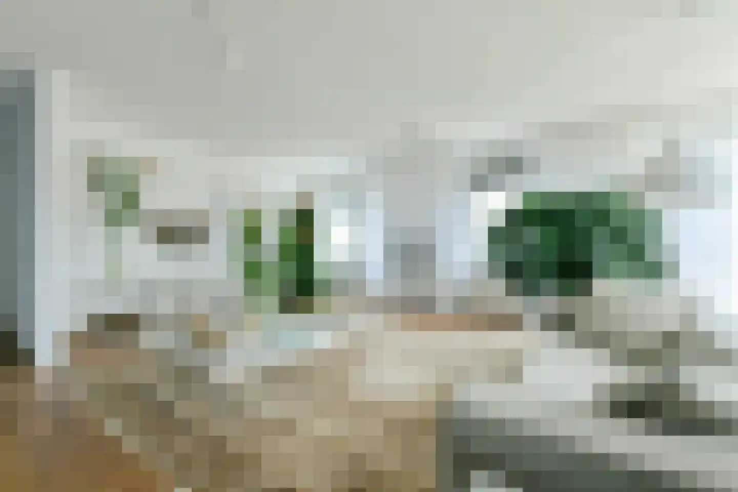 Rietlandpark 239 Amsterdam thumbnail 14