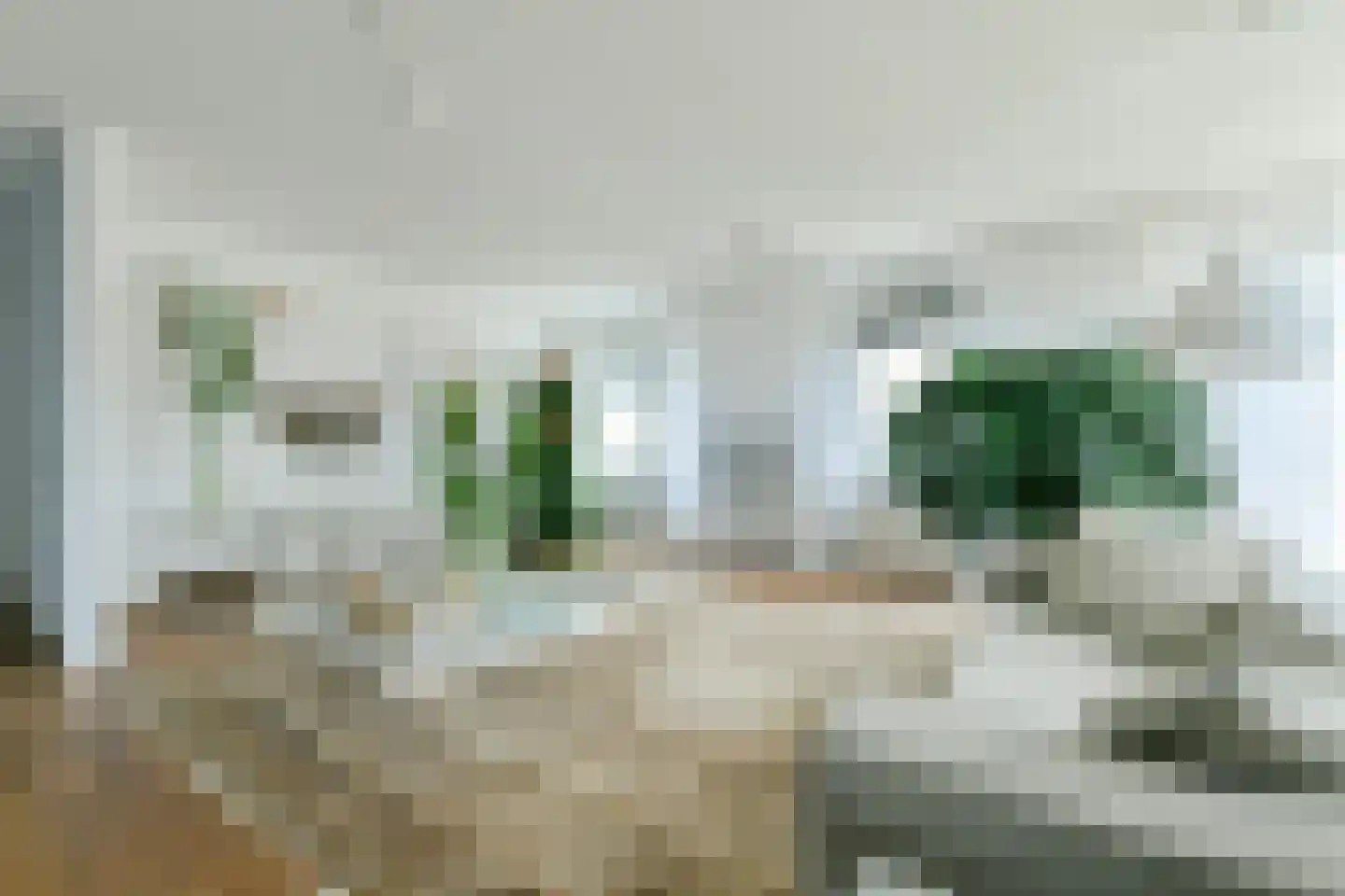 Rietlandpark 239 Amsterdam thumbnail 4