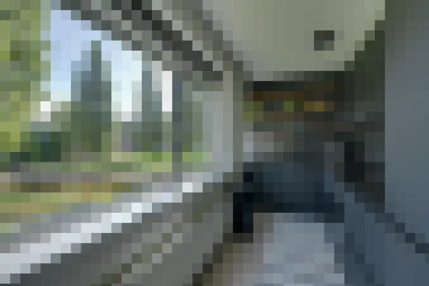 Rietlandpark 69 Amsterdam thumbnail 16