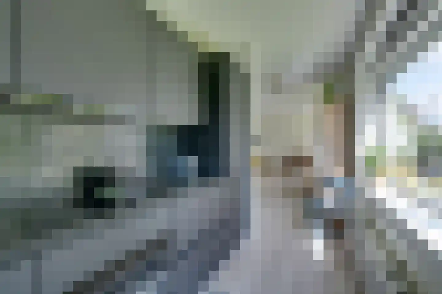 Rietlandpark 69 Amsterdam thumbnail 20