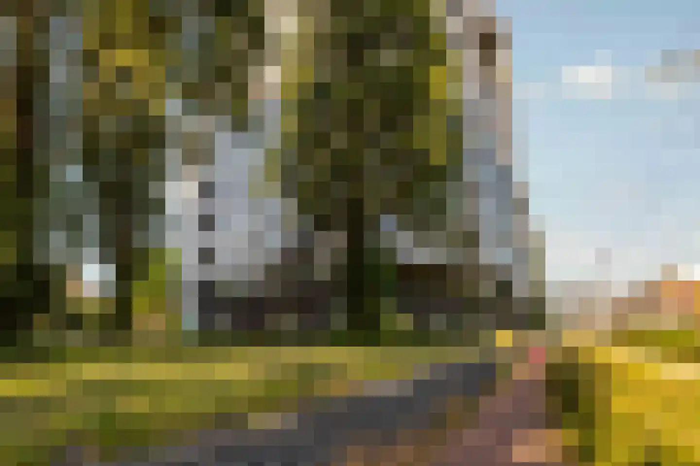 Rietlandpark 97 Amsterdam thumbnail 32