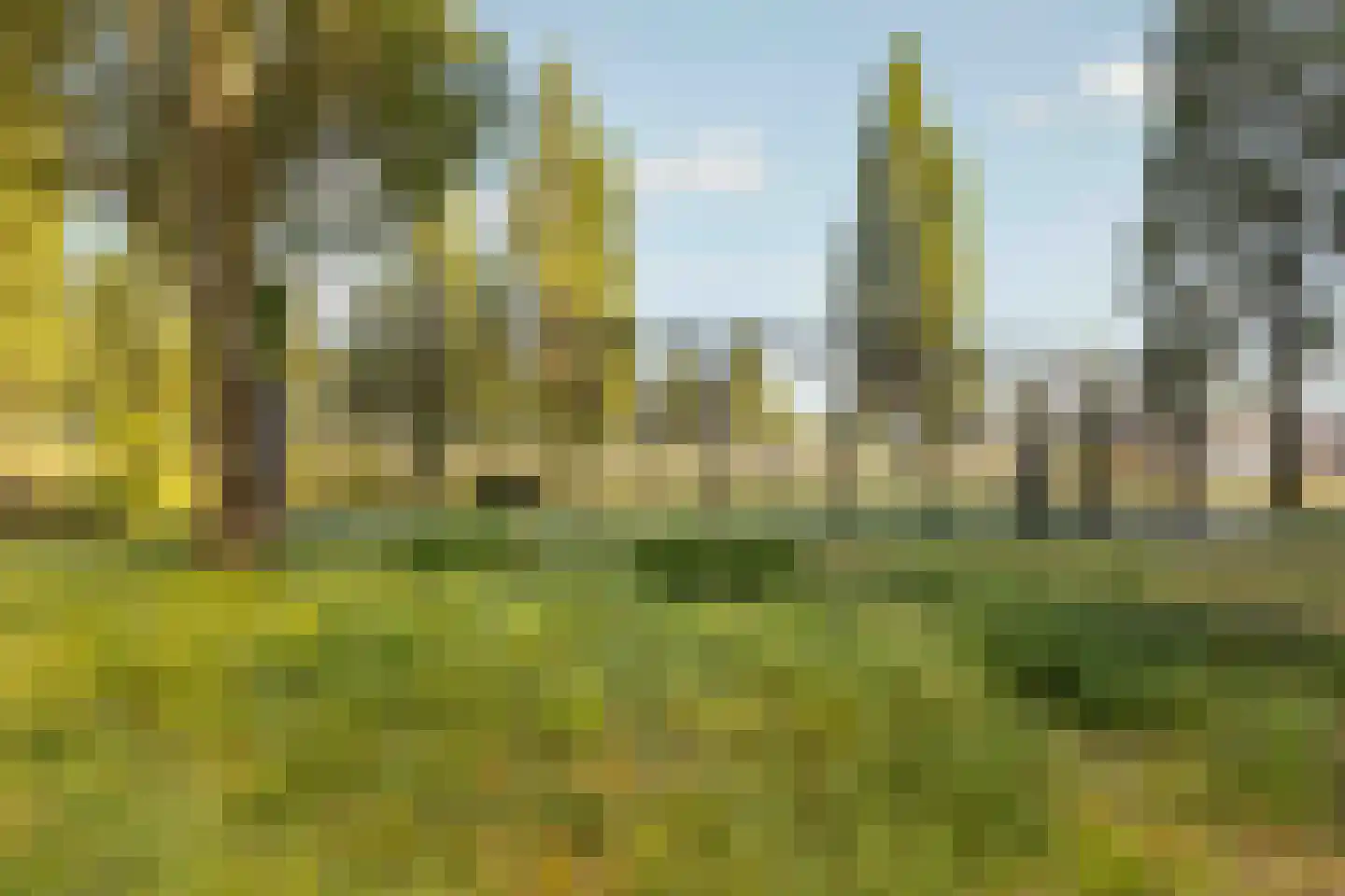 Rietlandpark 97 Amsterdam thumbnail 38