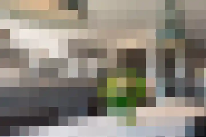 Rietlandstraat 37 Rilland thumbnail 11
