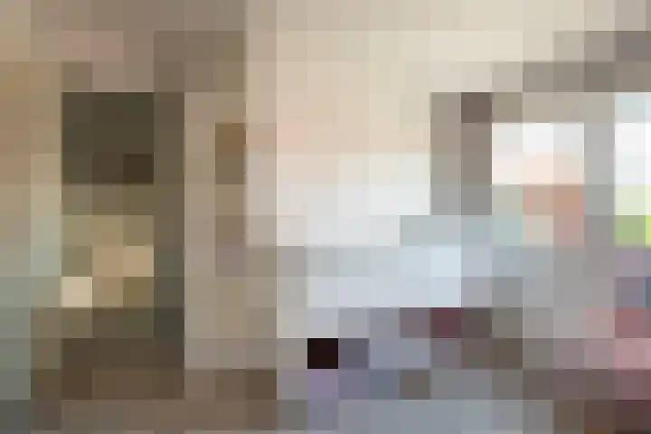 Rietlandstraat 37 Rilland thumbnail 21