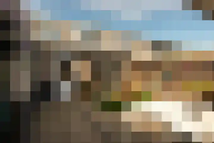 Rietlandstraat 37 Rilland thumbnail 26