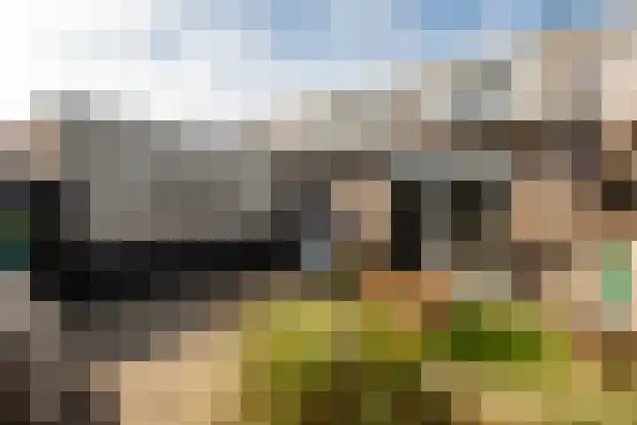 Rietlandstraat 37 Rilland thumbnail 27