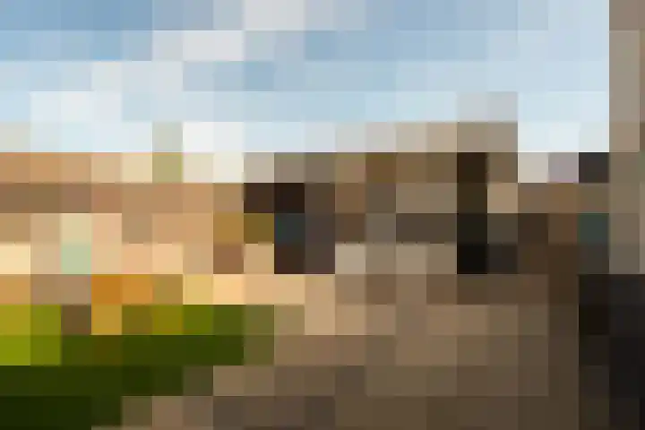 Rietlandstraat 37 Rilland thumbnail 28
