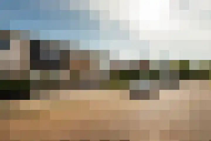 Rietlandstraat 37 Rilland thumbnail 36
