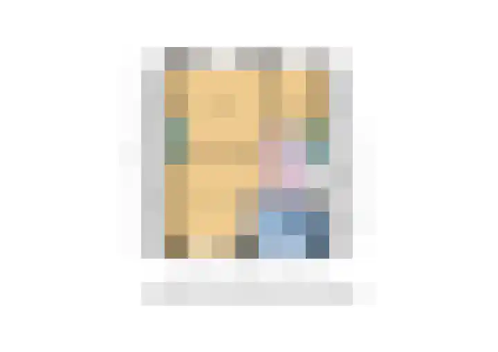 Rietlandstraat 37 Rilland thumbnail 38