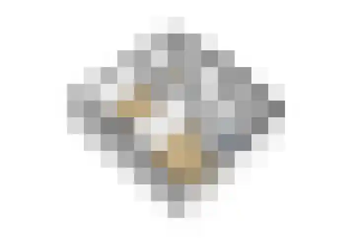 Rietlandstraat 37 Rilland thumbnail 41