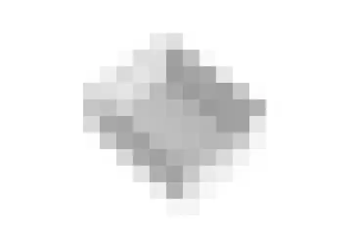 Rietlandstraat 37 Rilland thumbnail 42