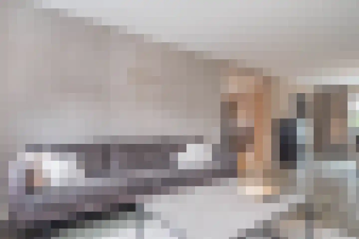 Rietlandstraat 8 Rilland thumbnail 12