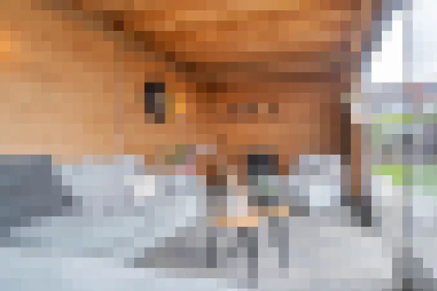 Rietlandstraat 8 Rilland thumbnail 36