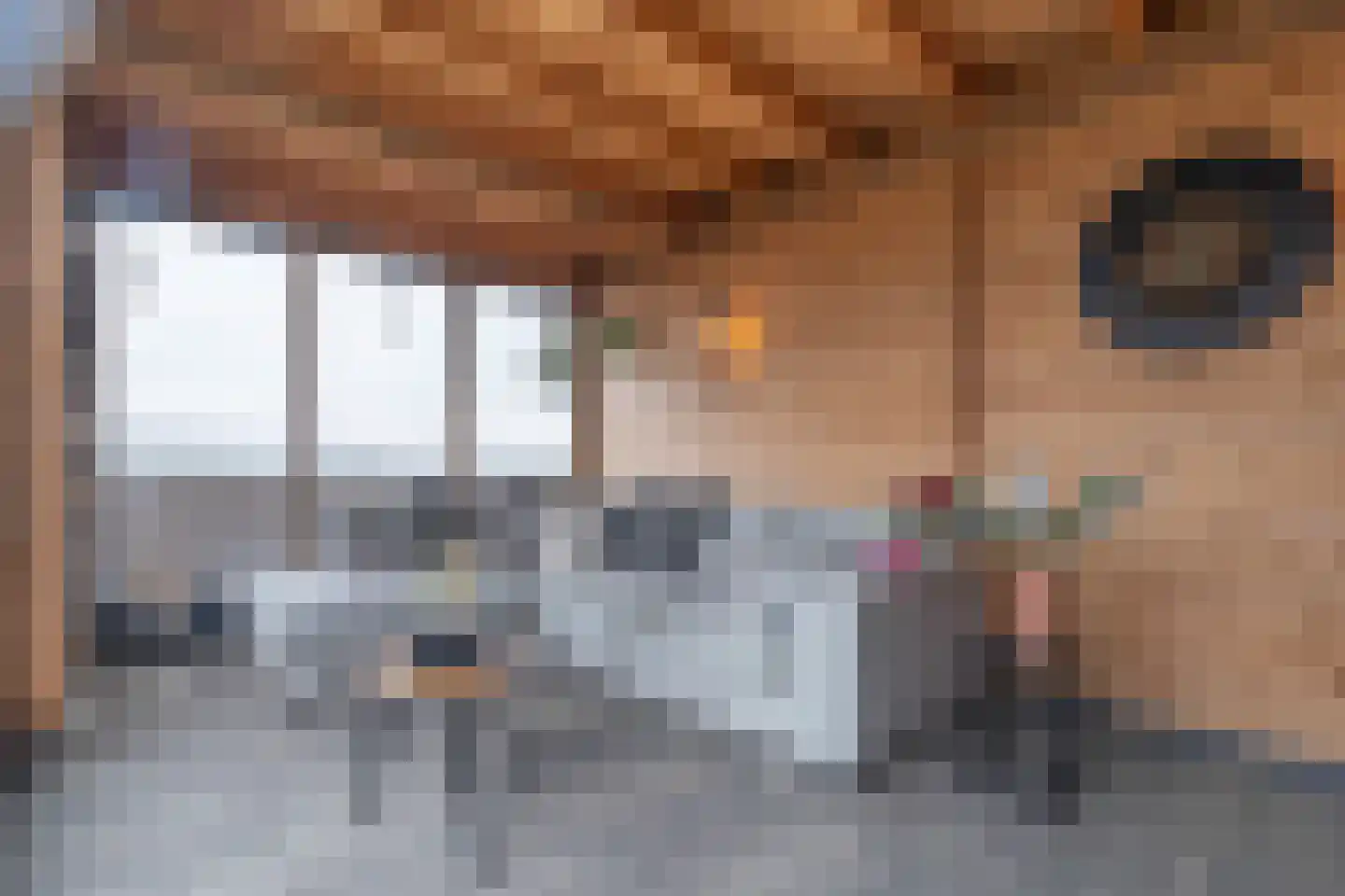 Rietlandstraat 8 Rilland thumbnail 37