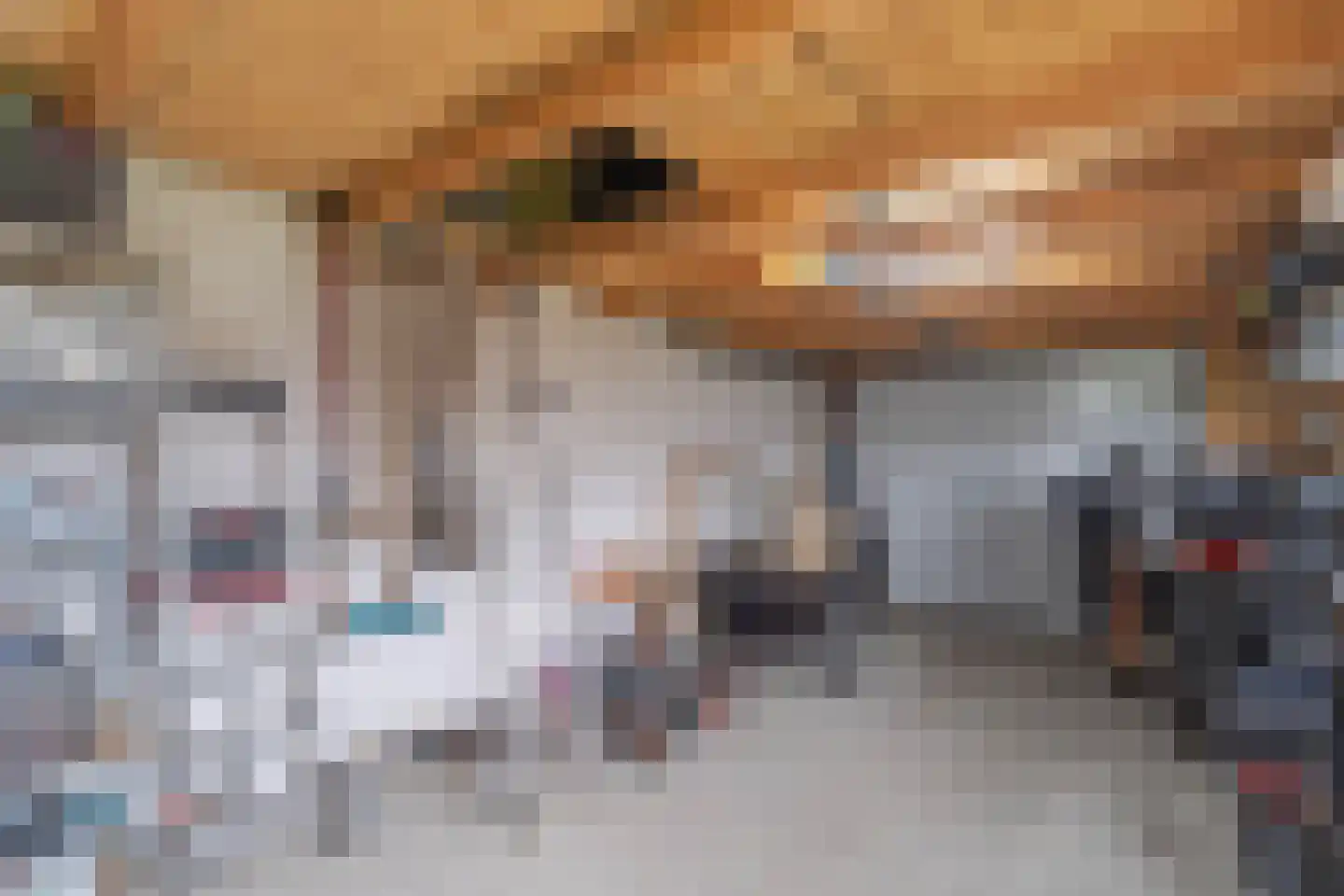 Rietlandstraat 8 Rilland thumbnail 42