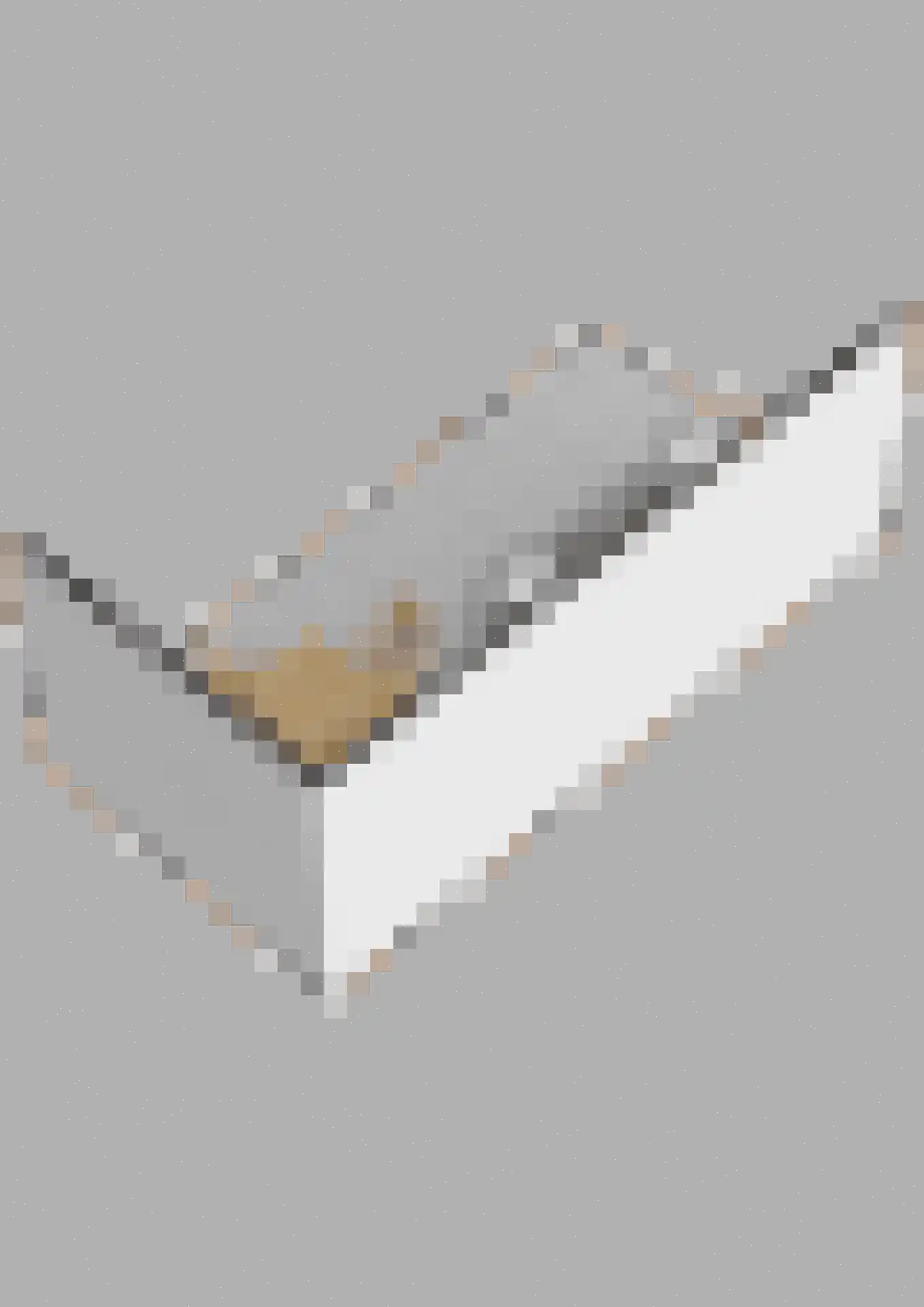 Rietlandstraat 8 Rilland thumbnail 55