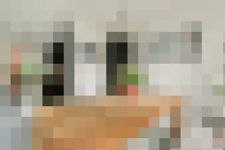 Rietlandterras 30 Amsterdam thumbnail 12