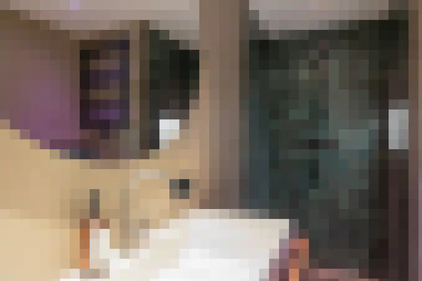 Rietlandterras 30 Amsterdam thumbnail 29