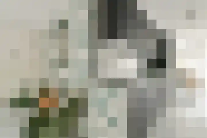 Rietlandterras 30 Amsterdam thumbnail 8
