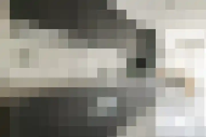 Rietlandterras 30 Amsterdam thumbnail 9