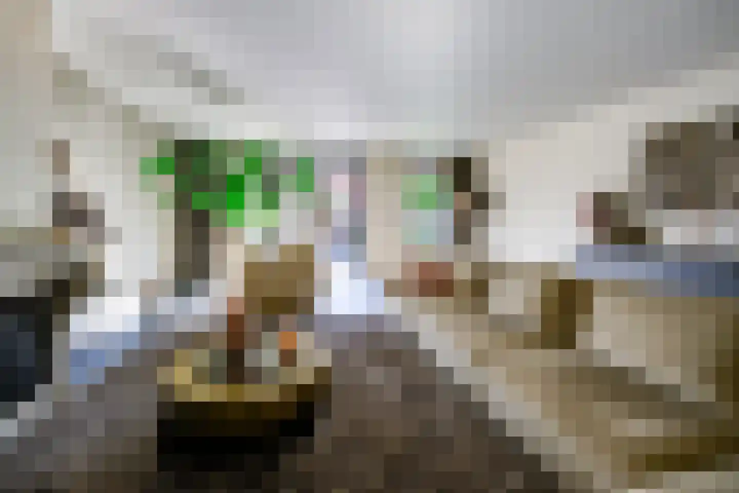 Rietleede 1 Barendrecht thumbnail 15