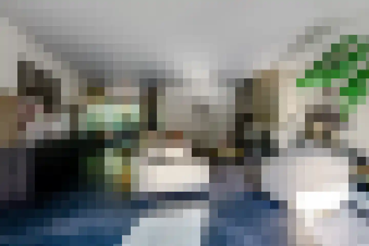 Rietleede 1 Barendrecht thumbnail 16