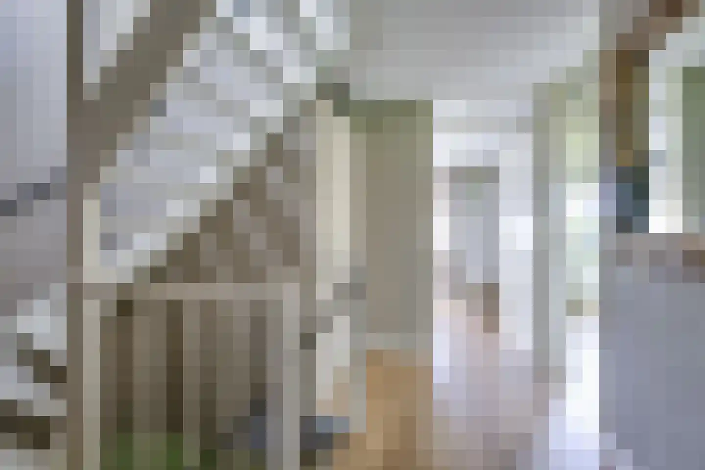 Rietleede 1 Barendrecht thumbnail 21