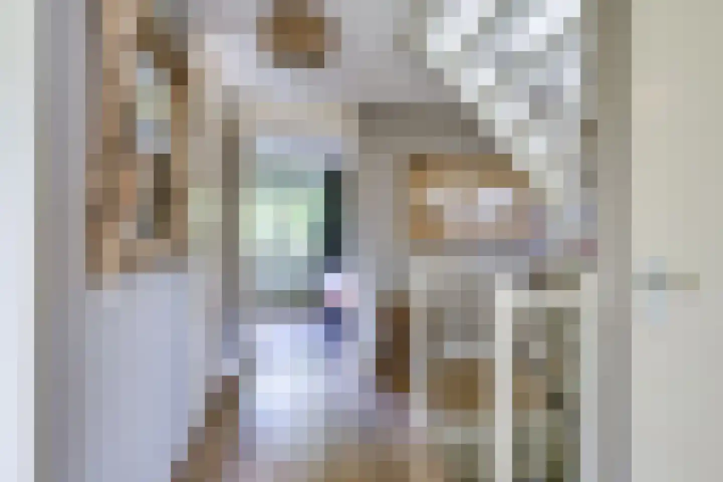 Rietleede 1 Barendrecht thumbnail 25