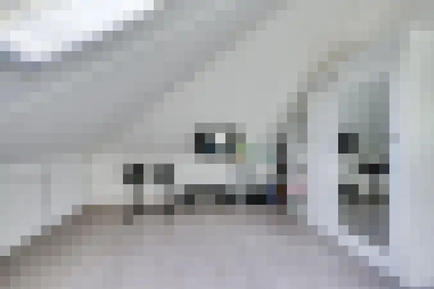 Rietleede 1 Barendrecht thumbnail 37