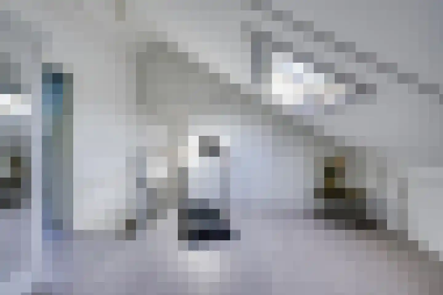 Rietleede 1 Barendrecht thumbnail 39