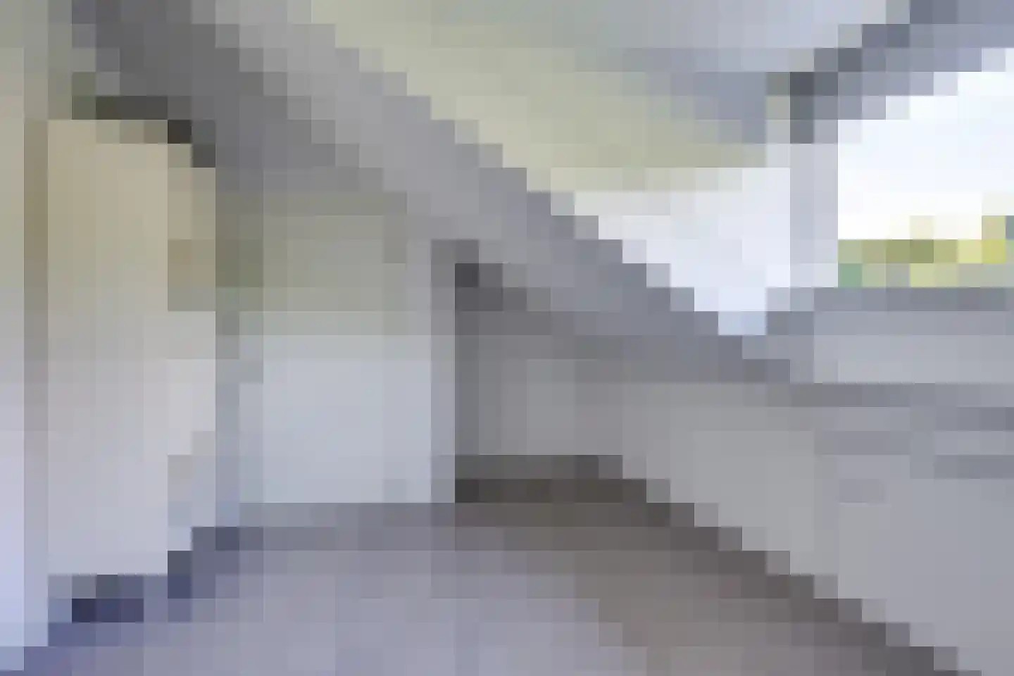Rietleede 1 Barendrecht thumbnail 41