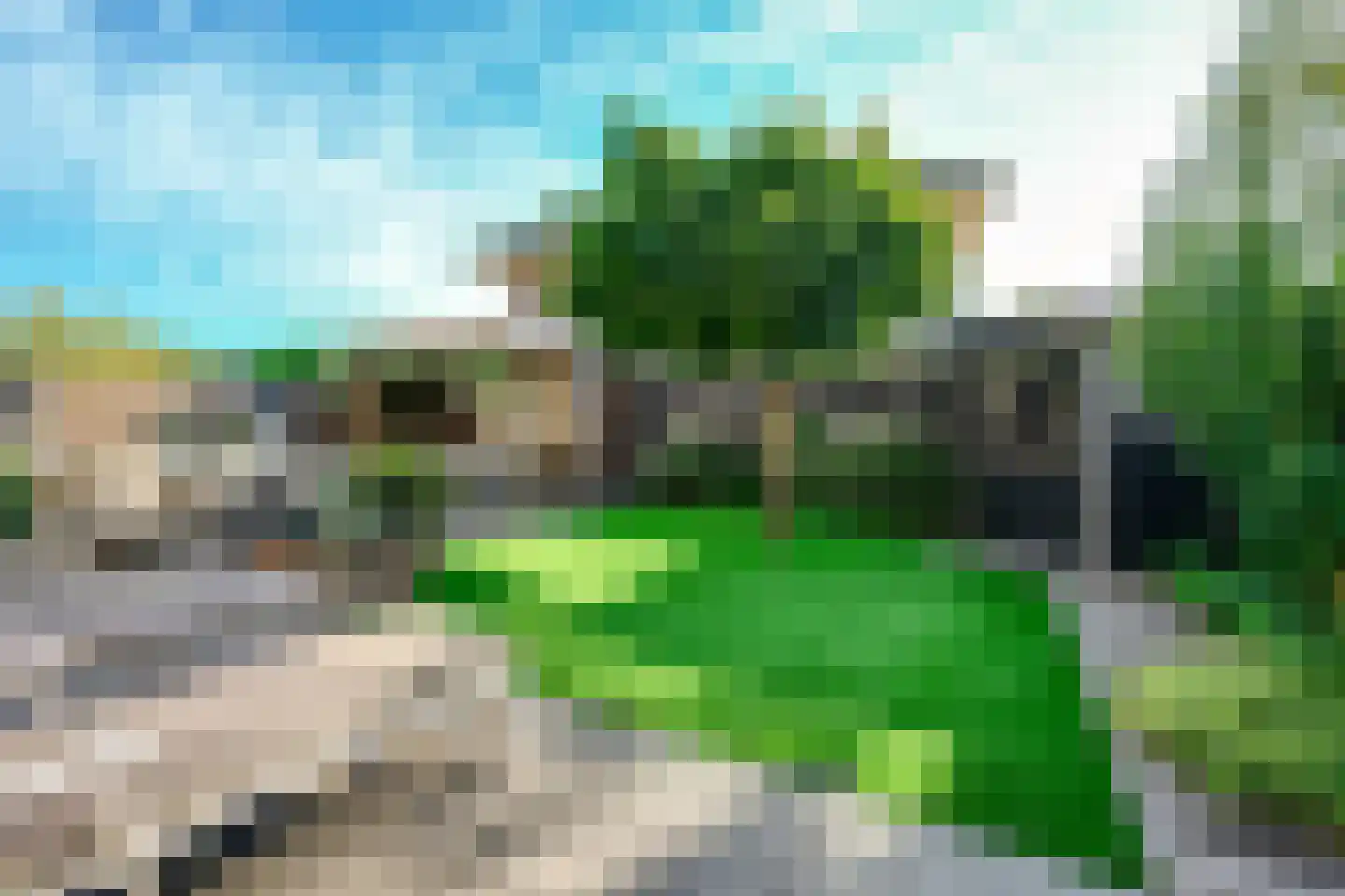 Rietleede 1 Barendrecht thumbnail 6