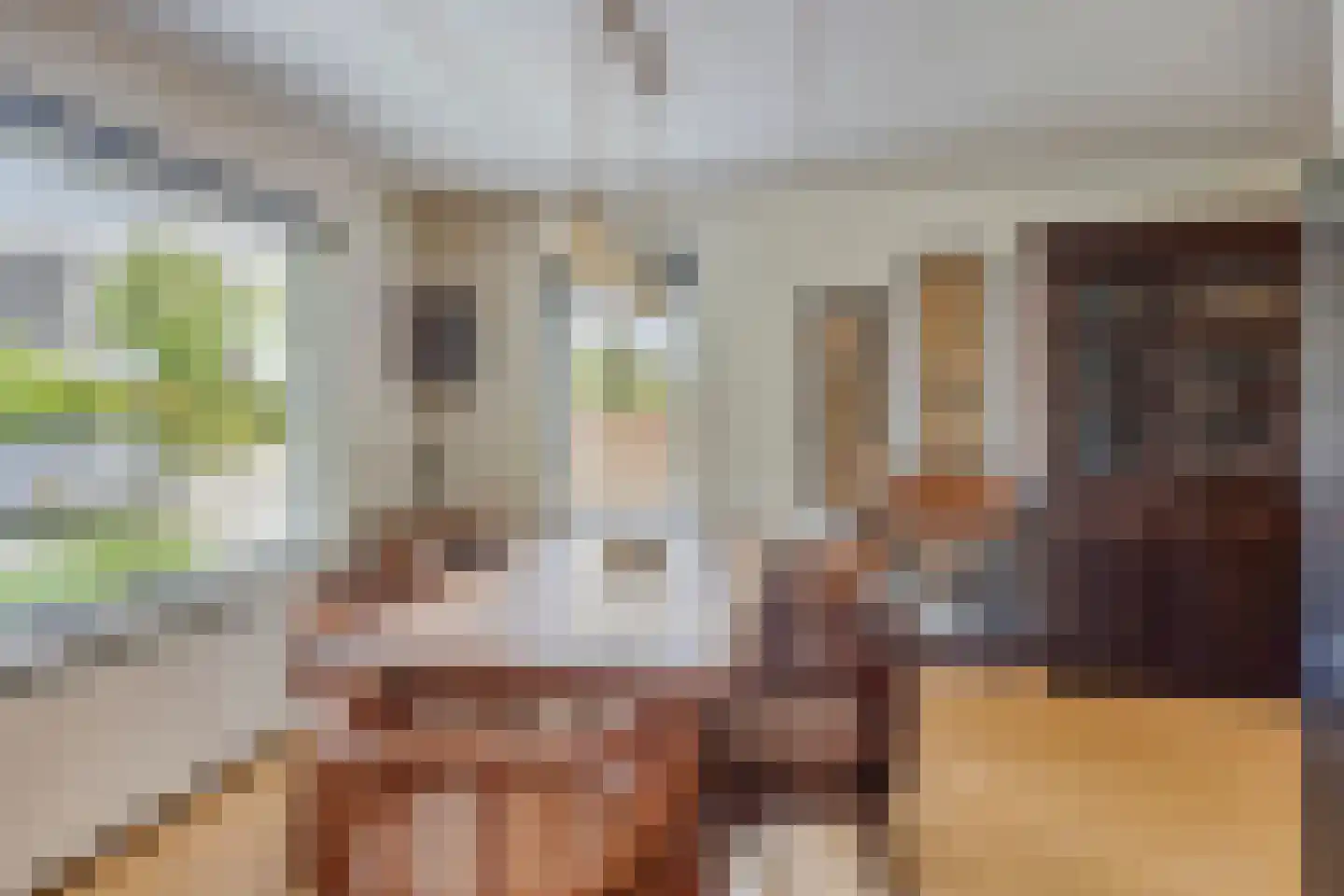 Rietmaat 21 Doesburg thumbnail 14