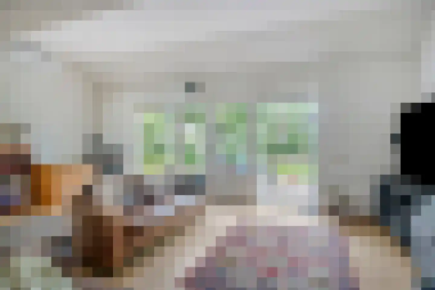 Rietmaat 21 Doesburg thumbnail 20