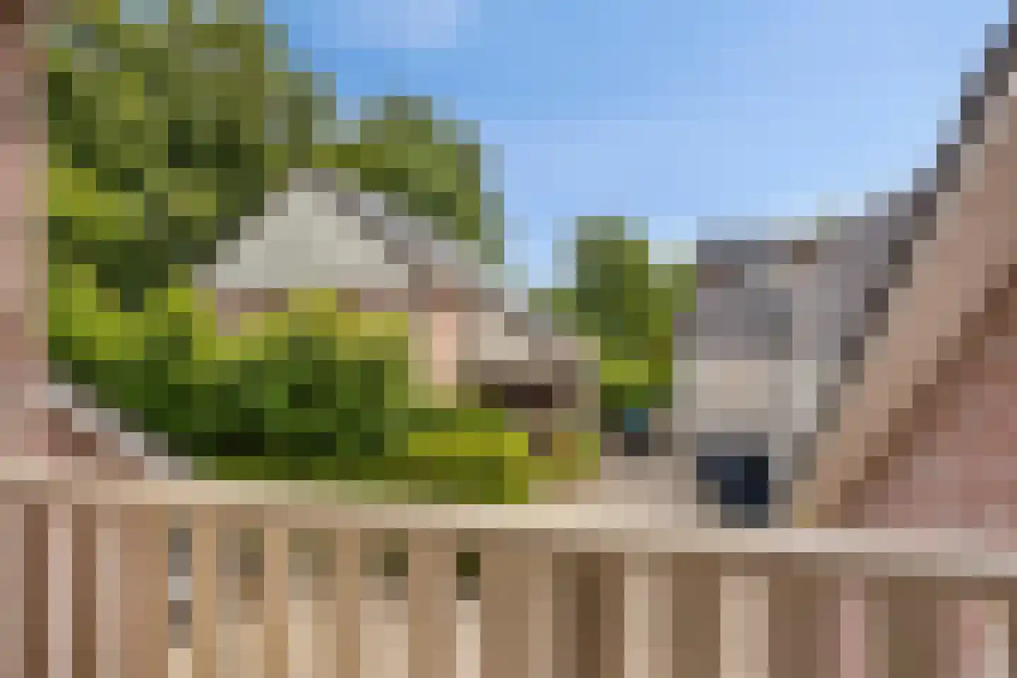 Rietmaat 21 Doesburg thumbnail 29