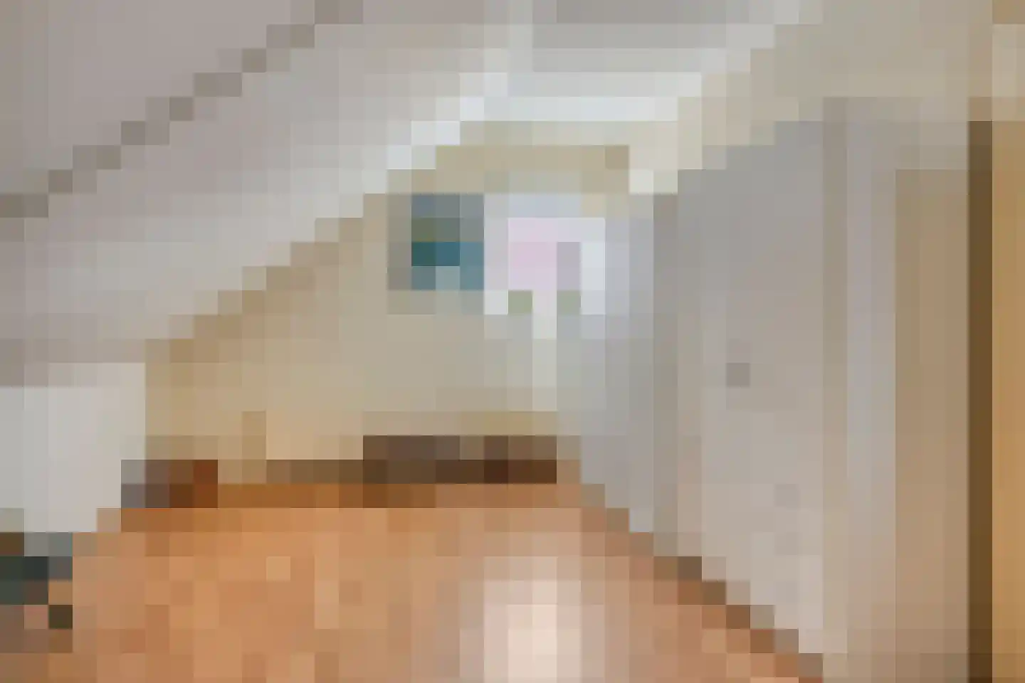Rietmaat 21 Doesburg thumbnail 37