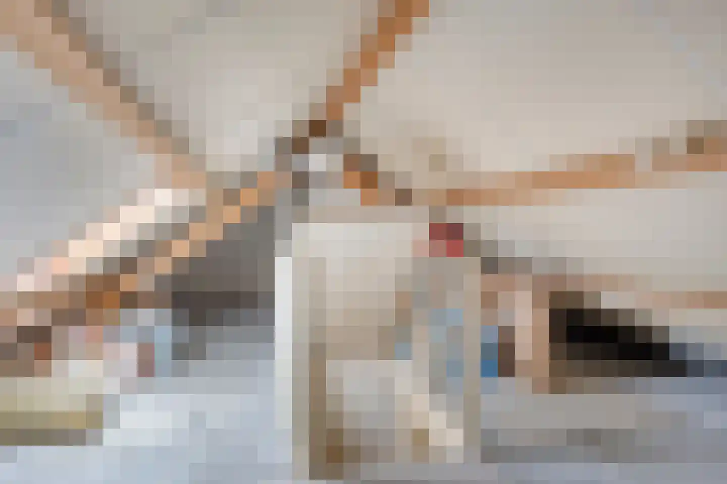 Rietmaat 21 Doesburg thumbnail 39