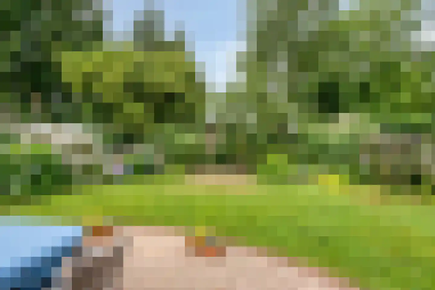 Rietmaat 21 Doesburg thumbnail 4